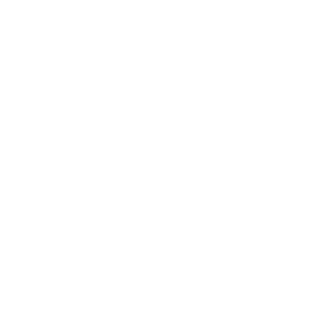 Åbo Akademi University