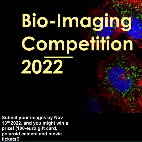 Bio-Imaging Competition 2022