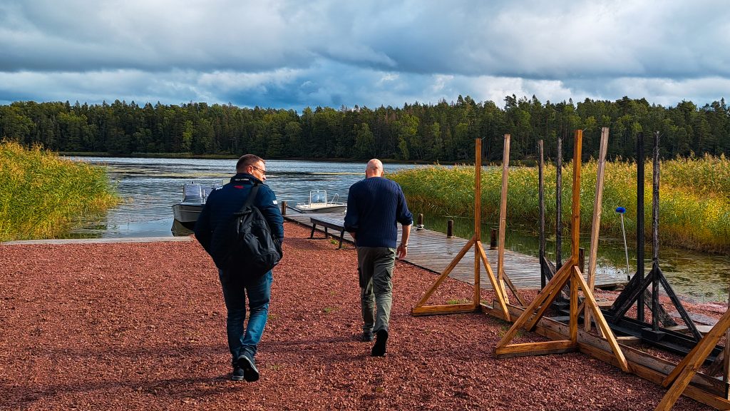 Coastal area covered with reeds at Husö Biological Research Station