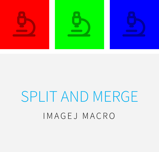 Split and Merge logo