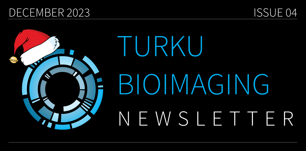The December Edition of TBI Newsletter